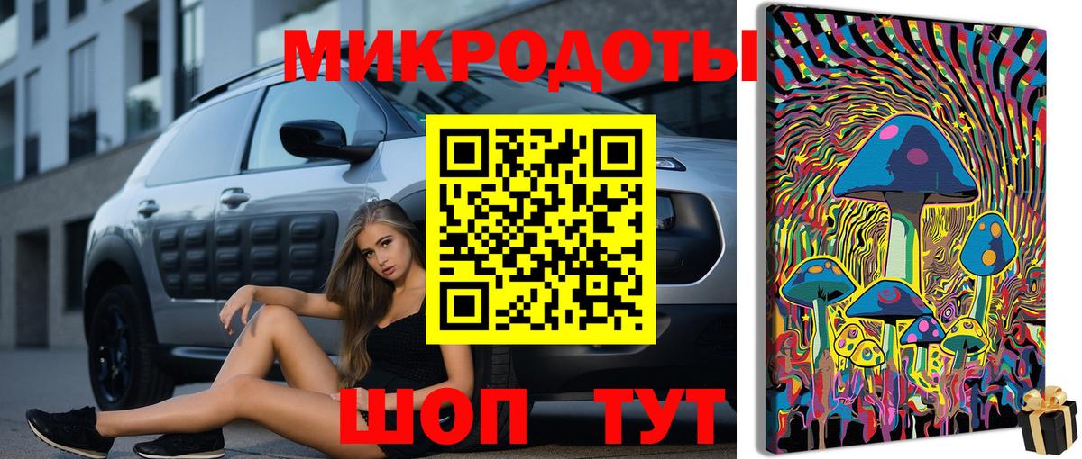 Коряжма  Галлюциногенные грибы Psilocybe  Вход с VPN  Псилоцибиновые грибы мухоморы 
