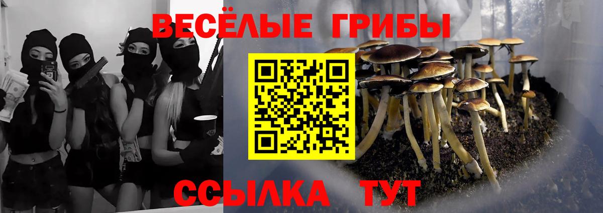 Псилоцибиновые грибы Psilocybine cubensis Коряжма